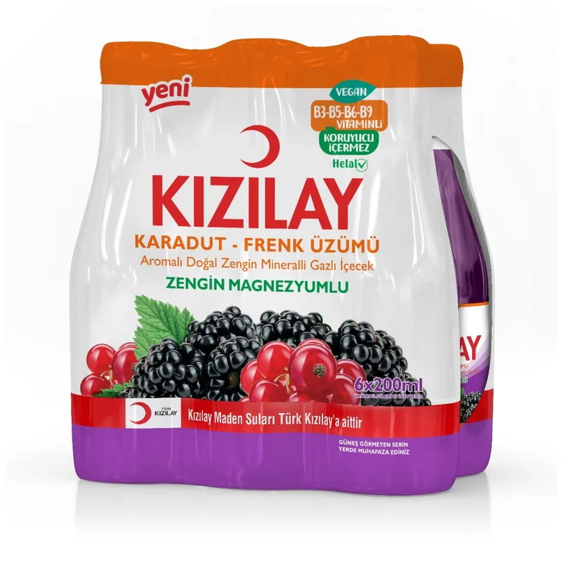 Kızılay Maden Suyu Karadut & Frenk Üzümü 6x200 ml