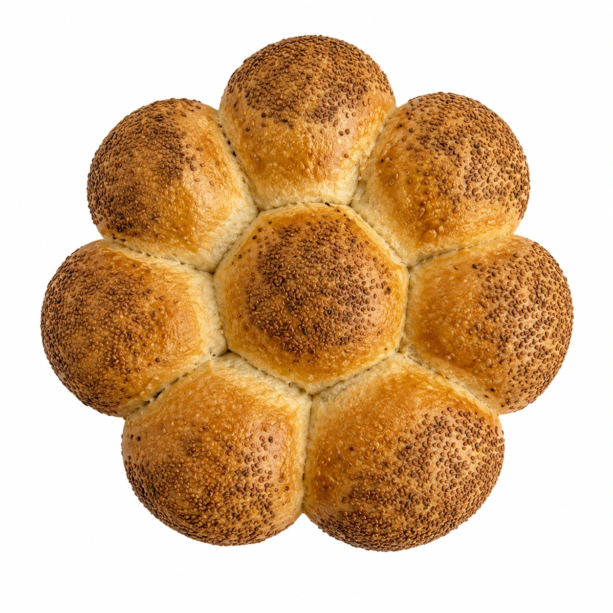 Papatya Ekmek