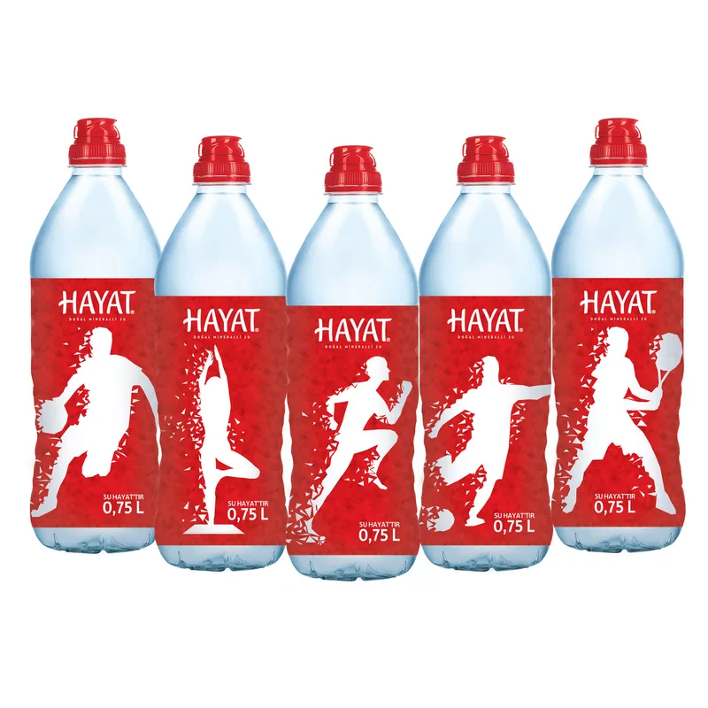 Hayat Su 750 ml