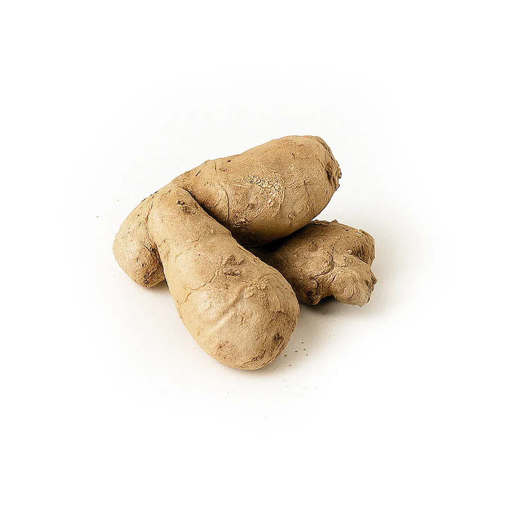 Zencefil