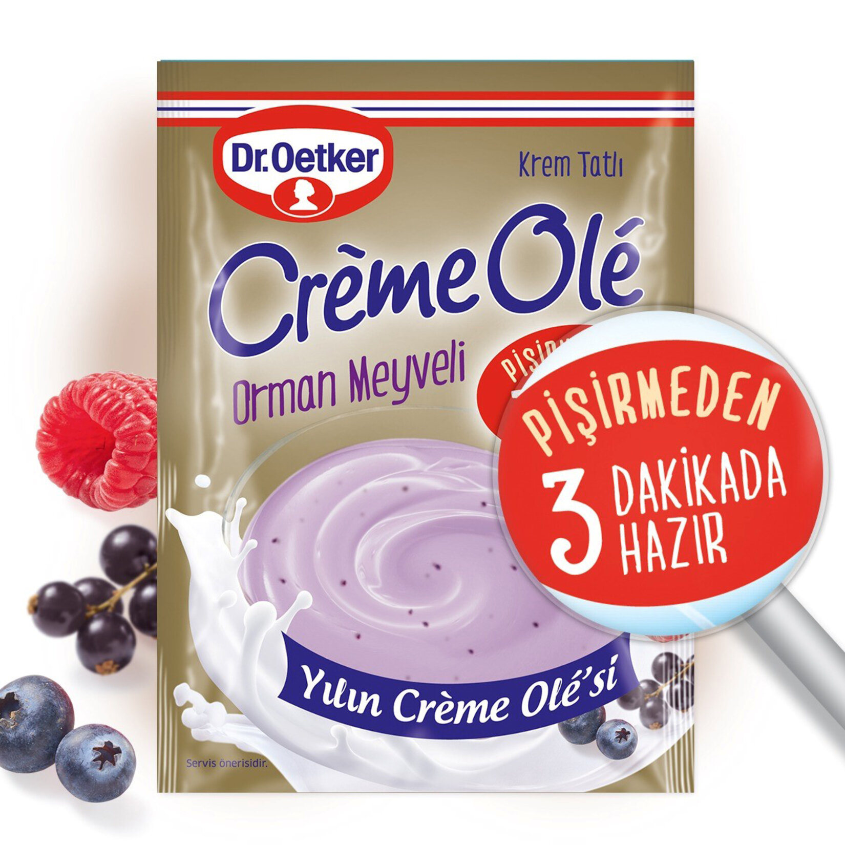 Dr. Oetker Orman Meyveli Creme Ole