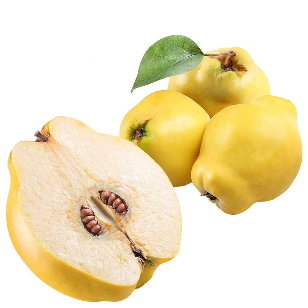 Ayva