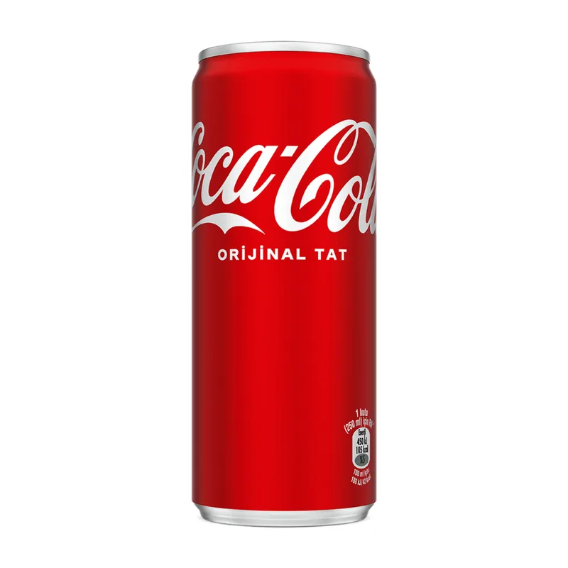 Coca-Cola 250 ml Kutu