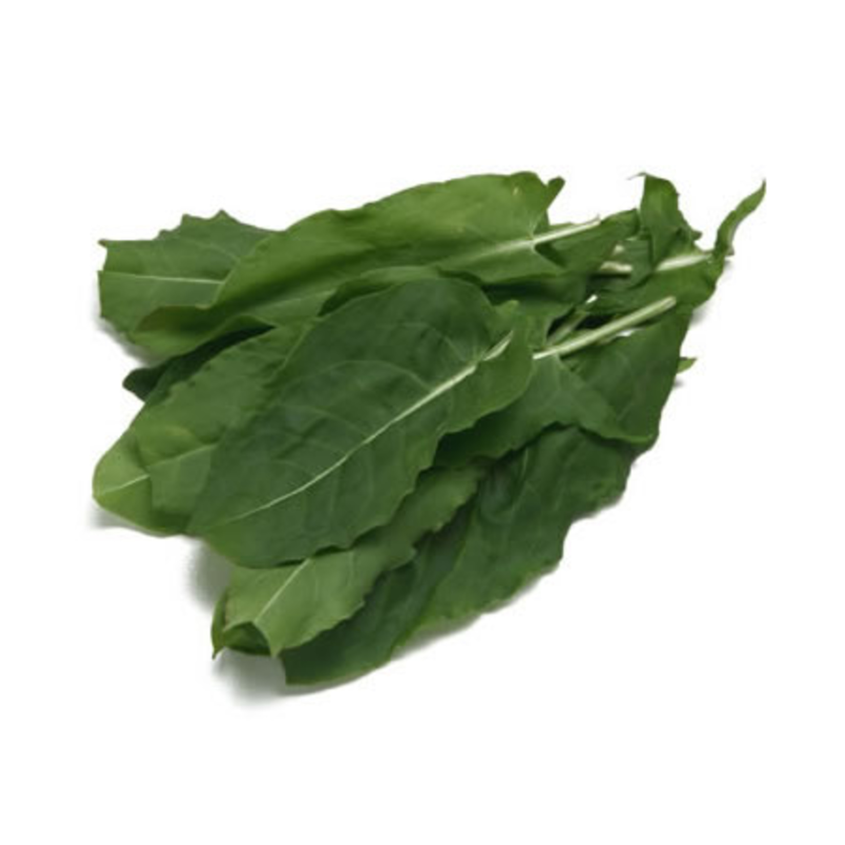Kuzu Kulağı