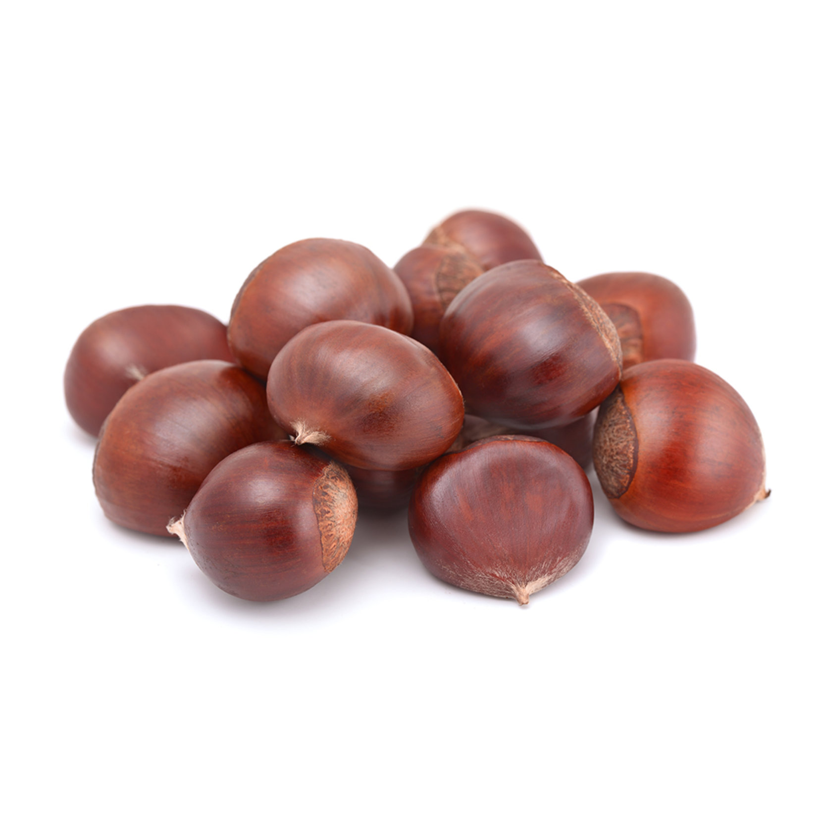 Kestane